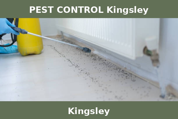 PEST CONTROL Kingsley